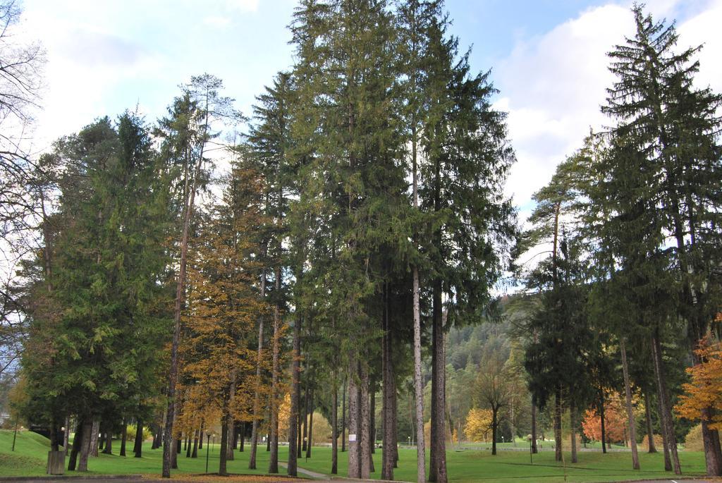 Apartamento Residenza Finestra sul Parco Comano Terme Exterior foto